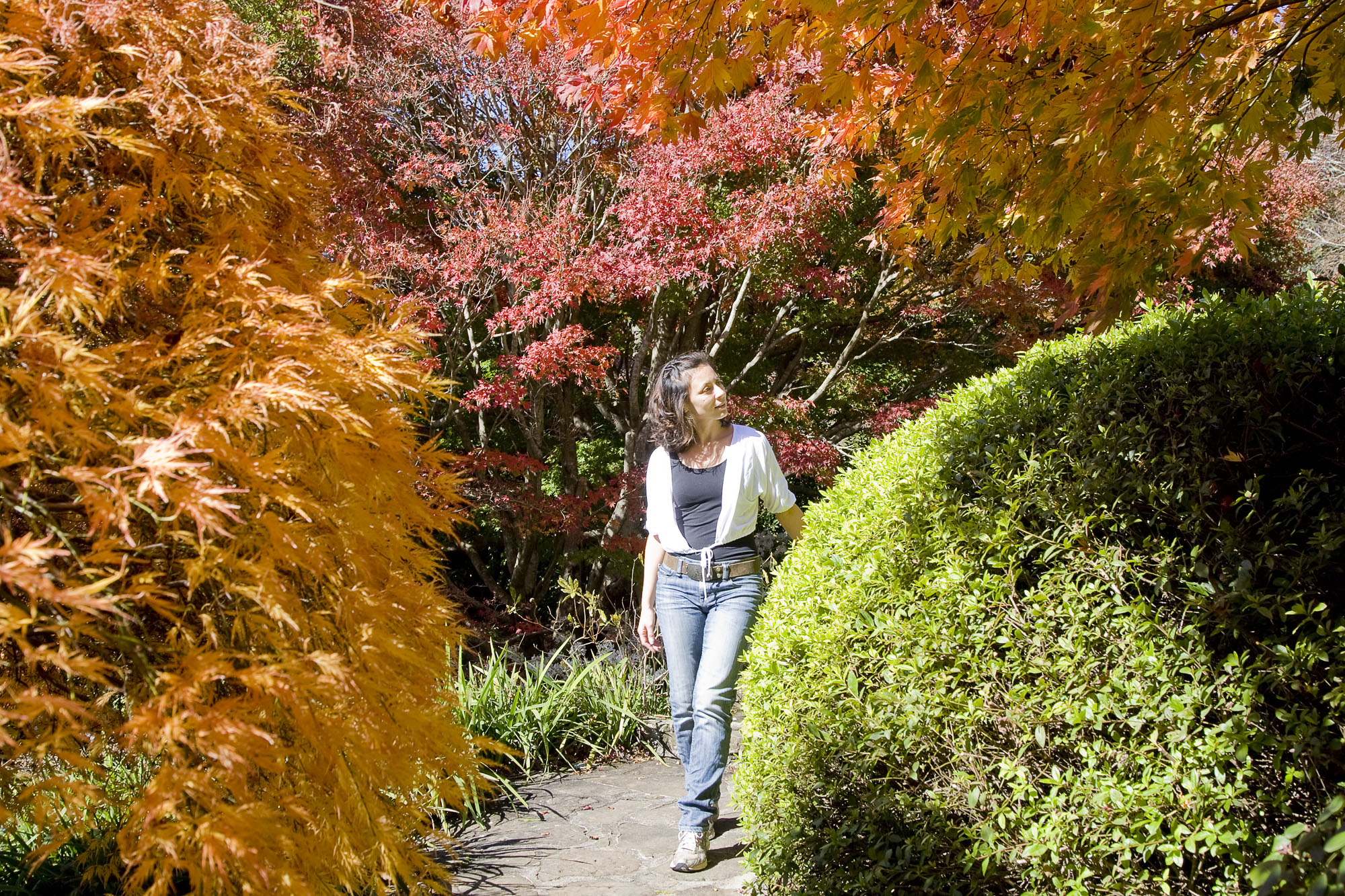 Mount Tomah Garden Nature Trail