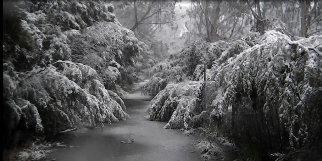 Katoomba’s a bit fresh today