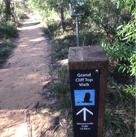 ‘Grand Cliff Top Walk’ Blue Mountains – Our Critique
