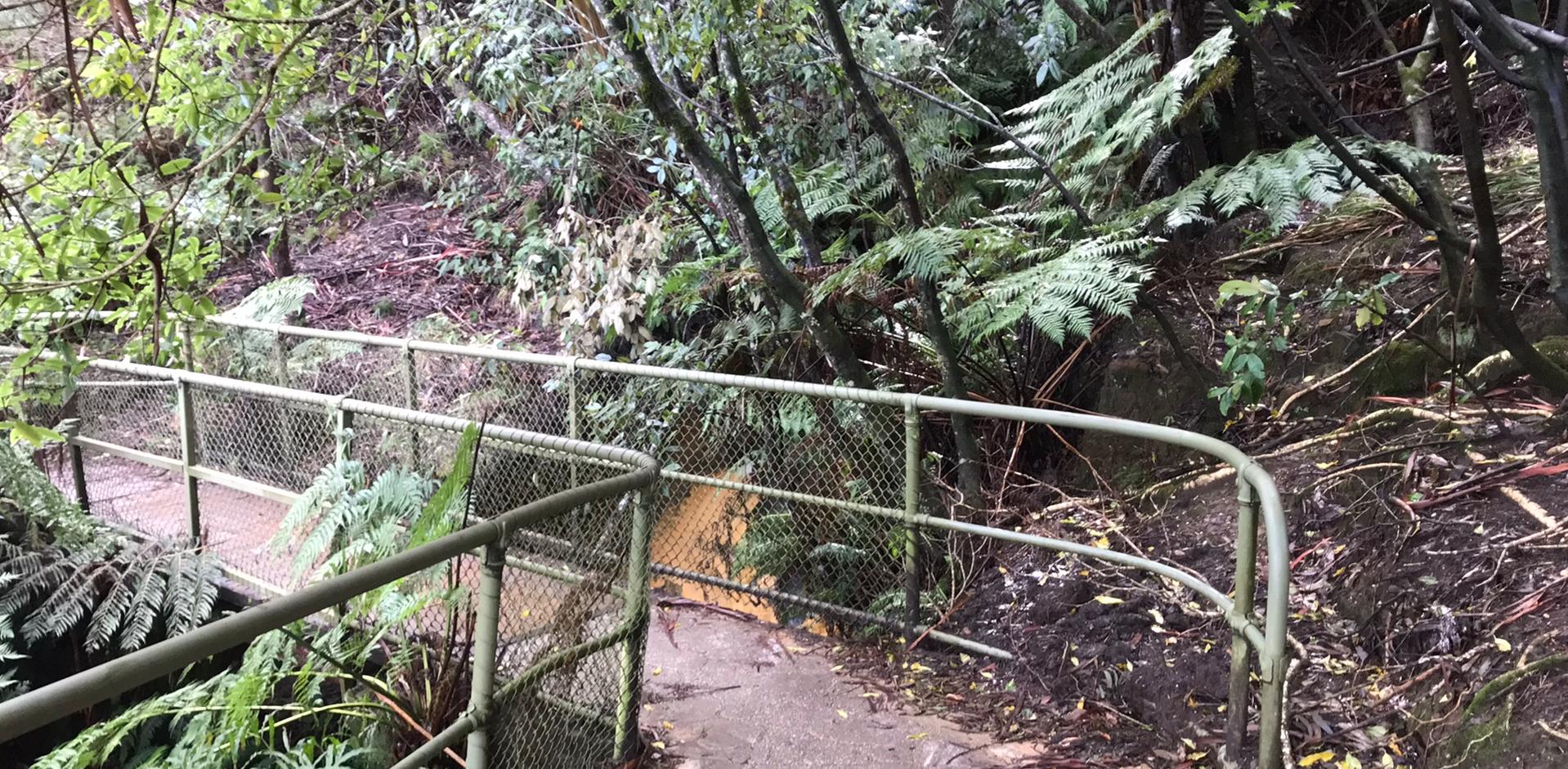 06 Prince Henry Cliff Walk footbridge