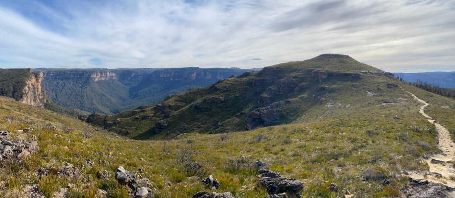 Heat Stroke Death down Lockley Track in full summer western sun