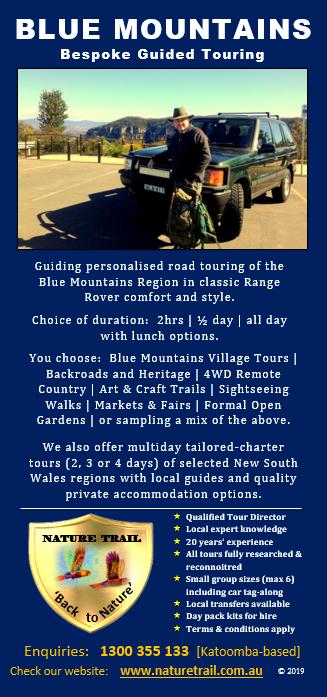 Plagiarism in tourism is unnecessary by those lacking creative talent